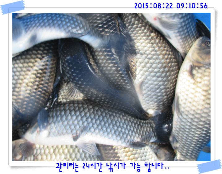 �ٹ̱�_IMG_3707.JPG