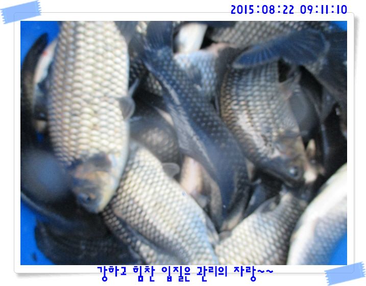 �ٹ̱�_IMG_3708.JPG