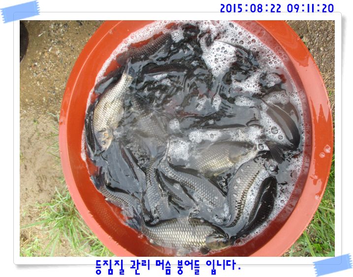 �ٹ̱�_IMG_3709.JPG