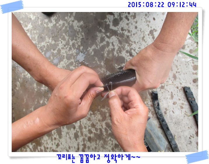 �ٹ̱�_IMG_3710.JPG