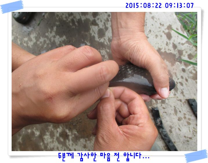 �ٹ̱�_IMG_3712.JPG