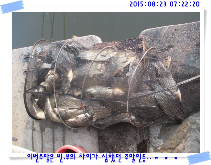 �ٹ̱�_IMG_3745.JPG