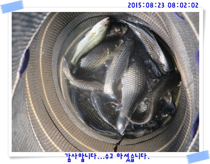 �ٹ̱�_IMG_3748.JPG