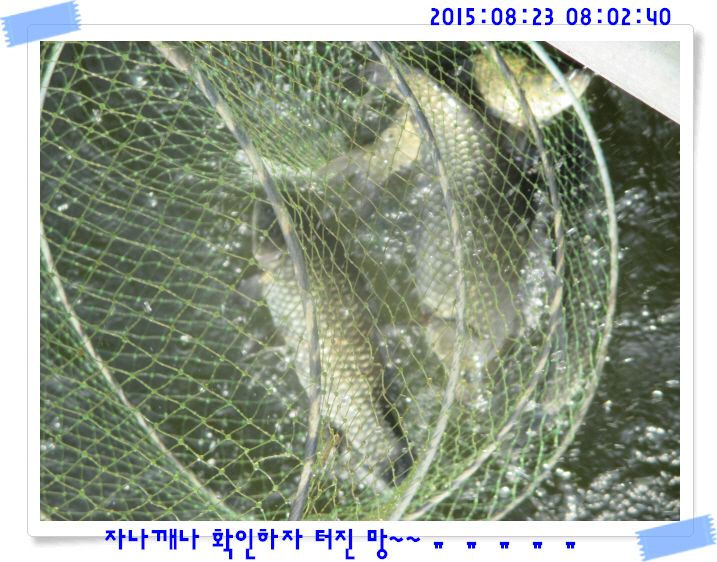 �ٹ̱�_IMG_3749.JPG