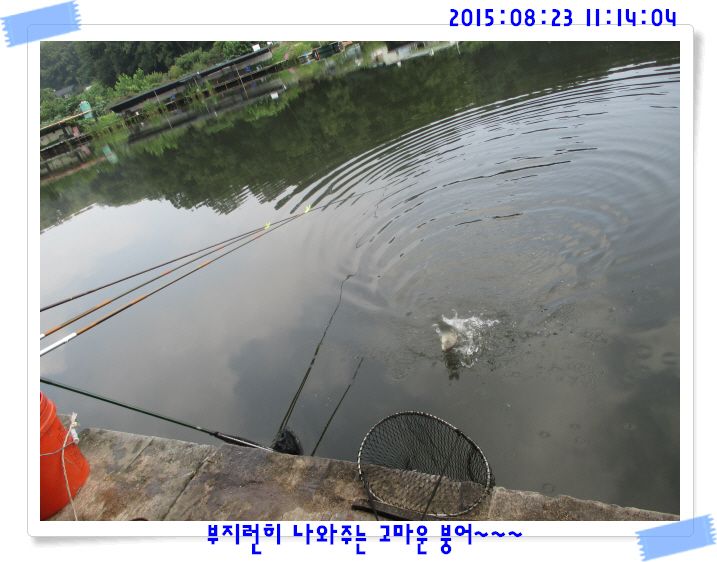 �ٹ̱�_IMG_3752.JPG