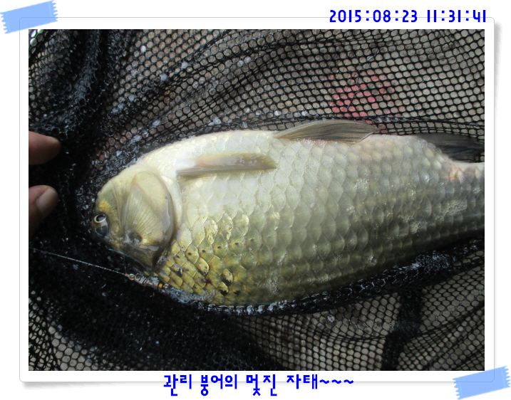 �ٹ̱�_IMG_3754.JPG