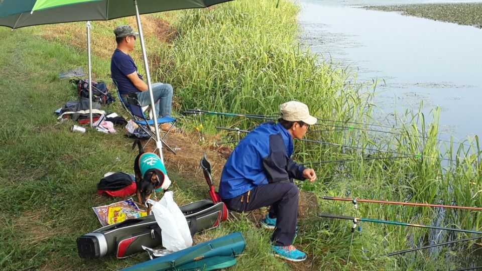 KakaoTalk_20150827_154208536.jpg