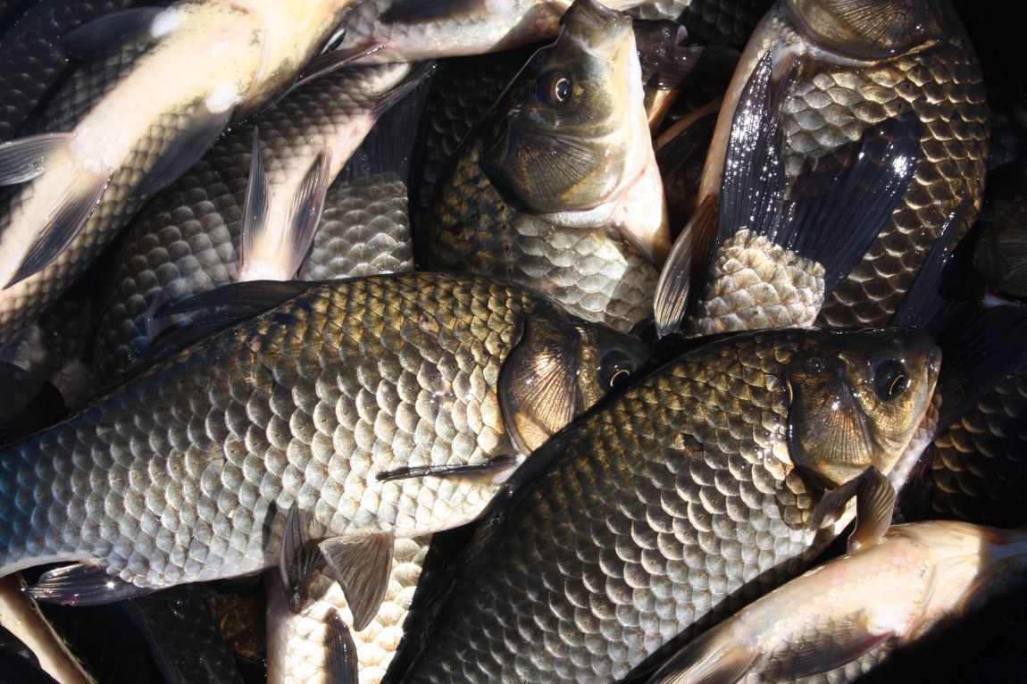 8¿ù27ÀÏ ¿ÀÈÄ 025.JPG