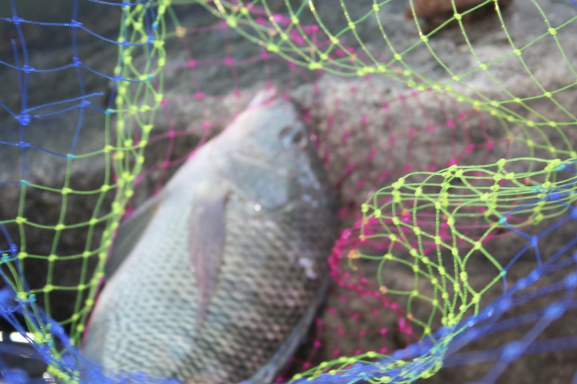 8¿ù27ÀÏ ¿ÀÈÄ 082.JPG