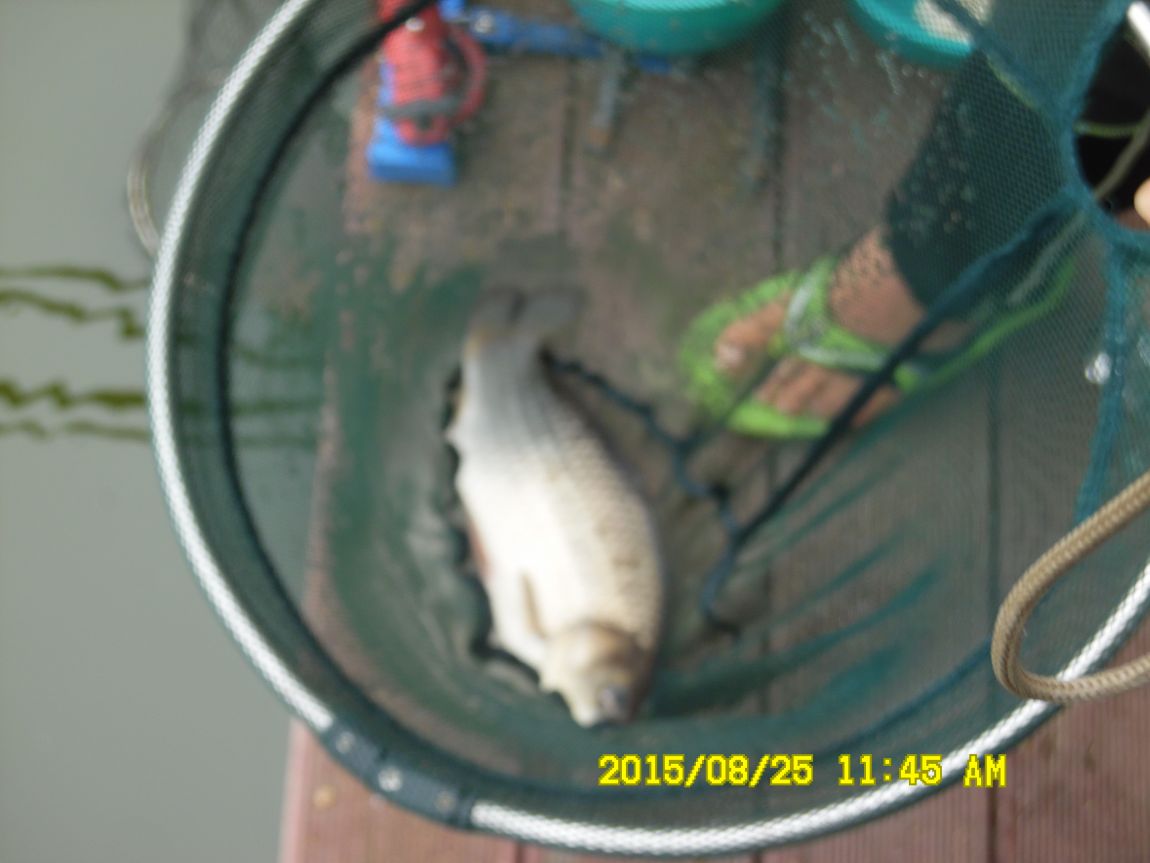8��25��~27�� 015.JPG