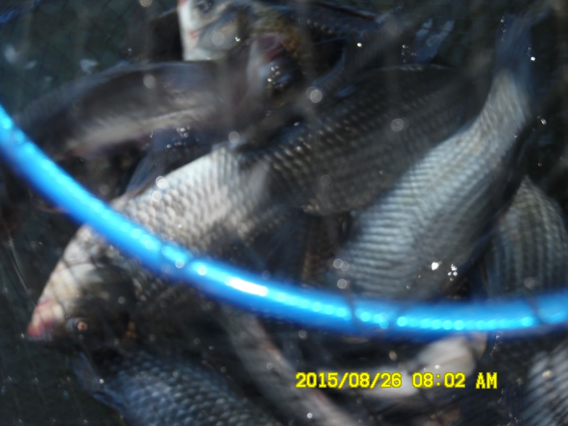 8��25��~27�� 021.JPG