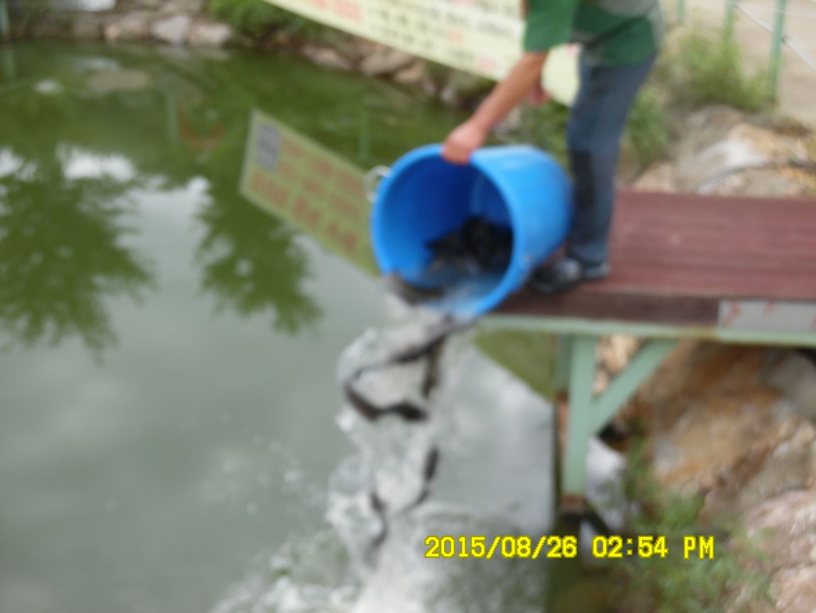 8��25��~27�� 024.JPG