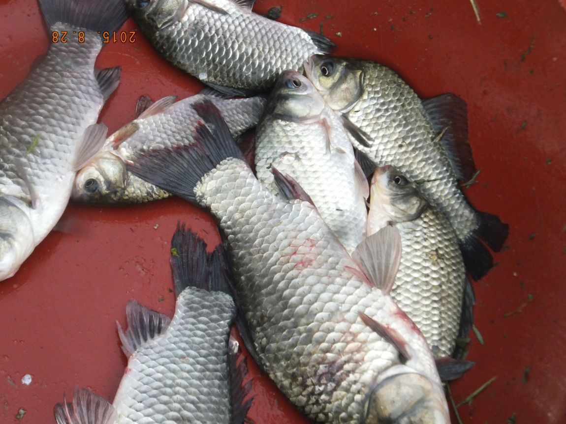 201300703 025.jpg