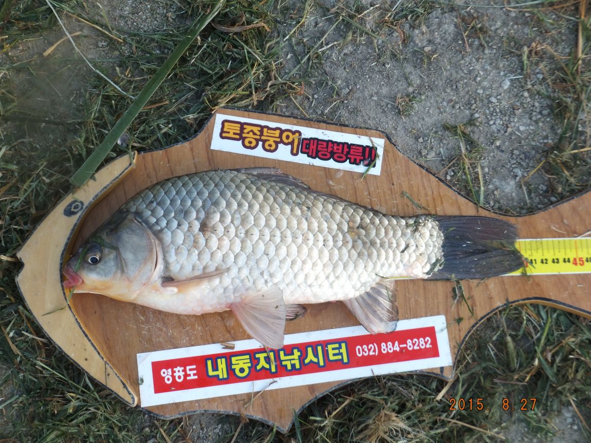 201300703 011.jpg