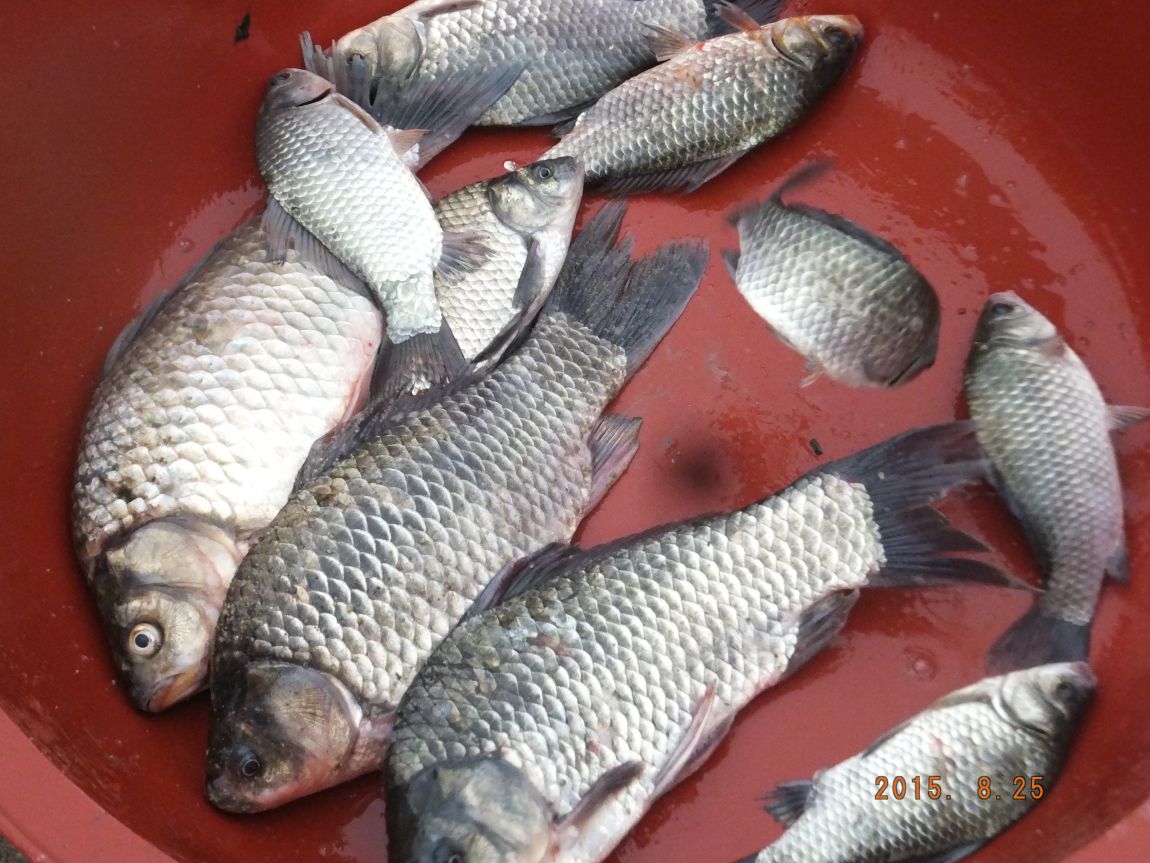 201300703 002.jpg