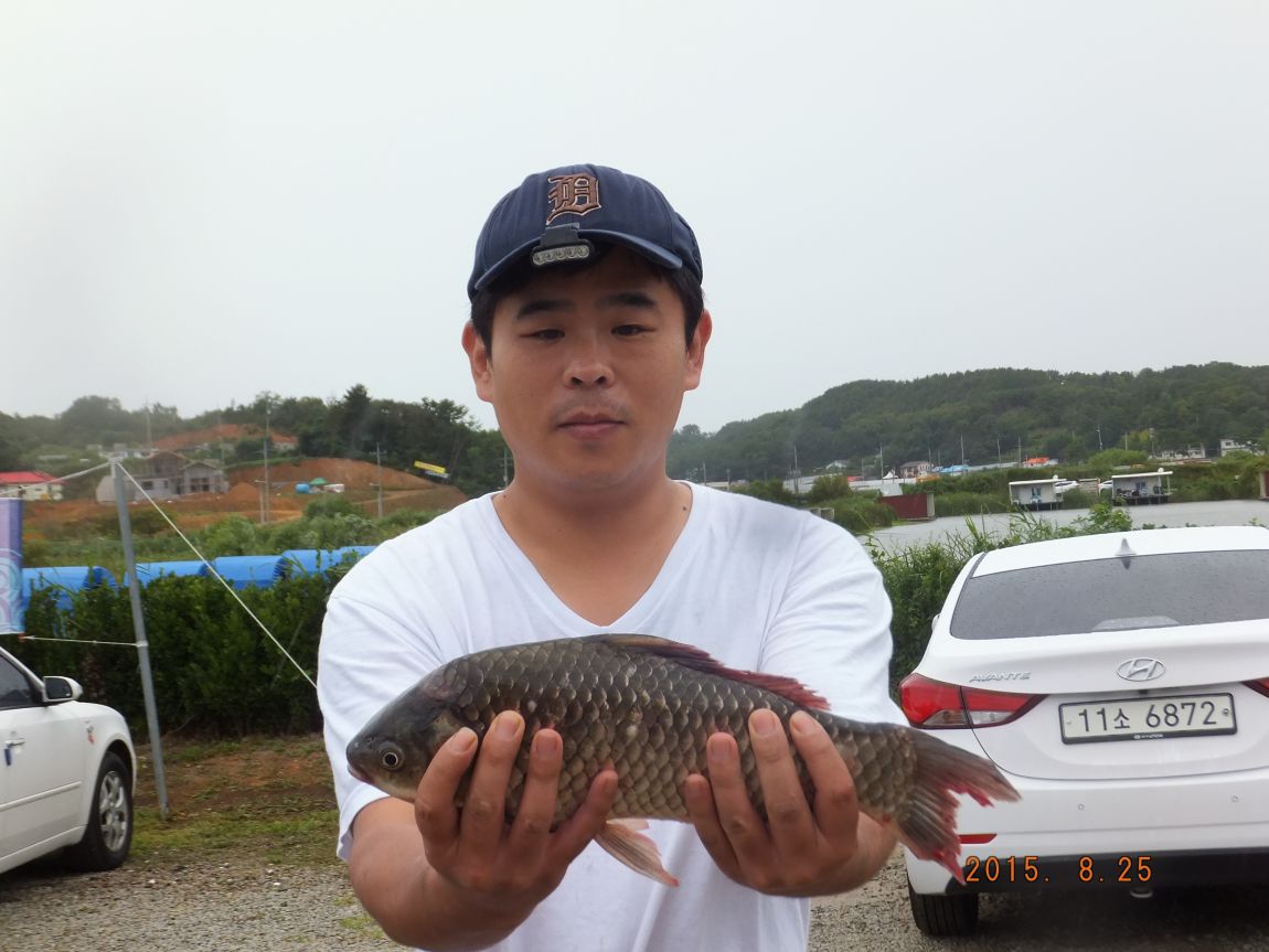 201300703 007.jpg