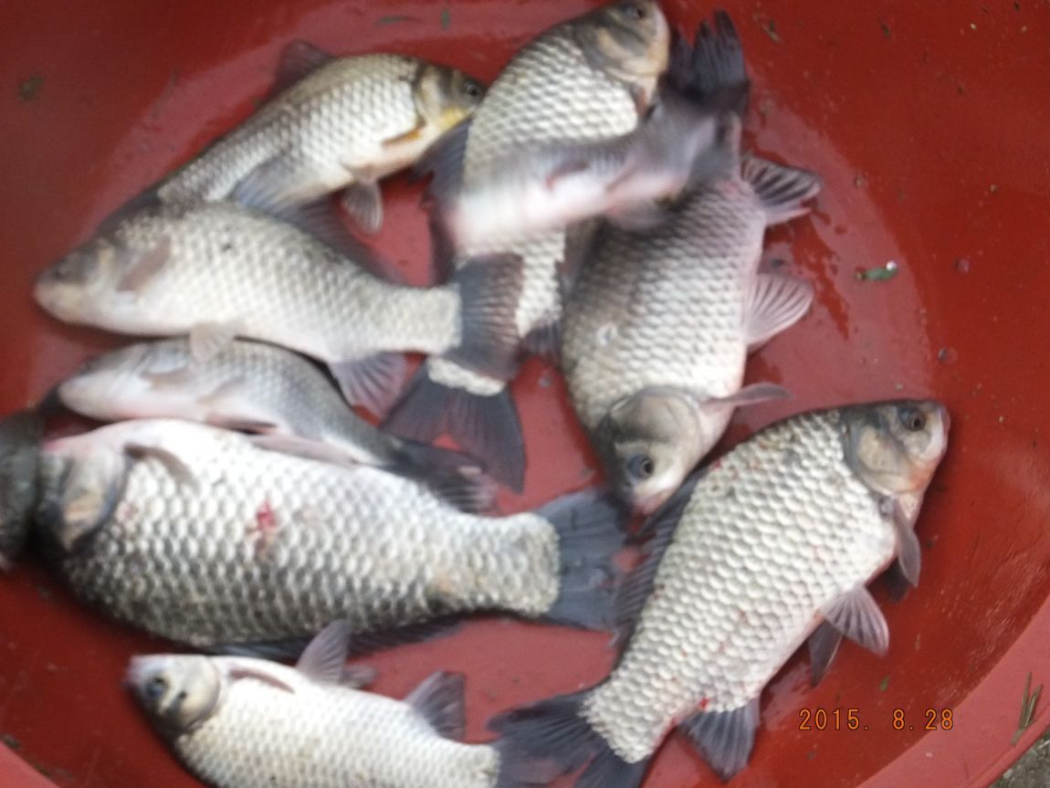 201300703 028.jpg