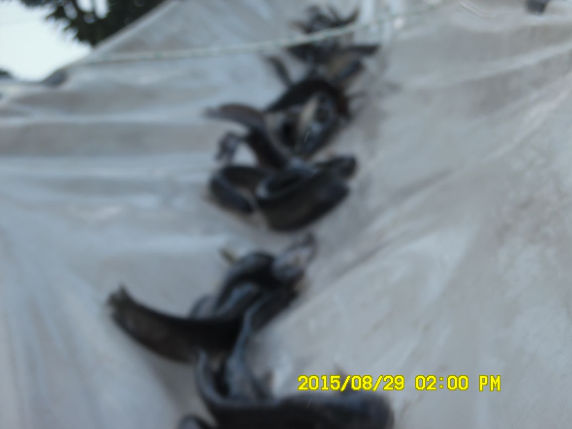 8��28��~29�� 026.JPG