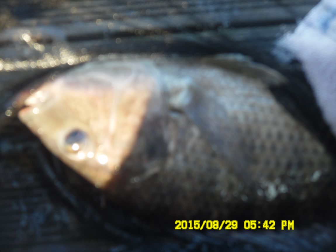 8��28��~29�� 047.JPG