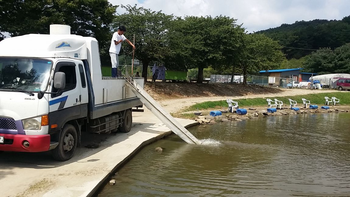 20150829_113321.jpg