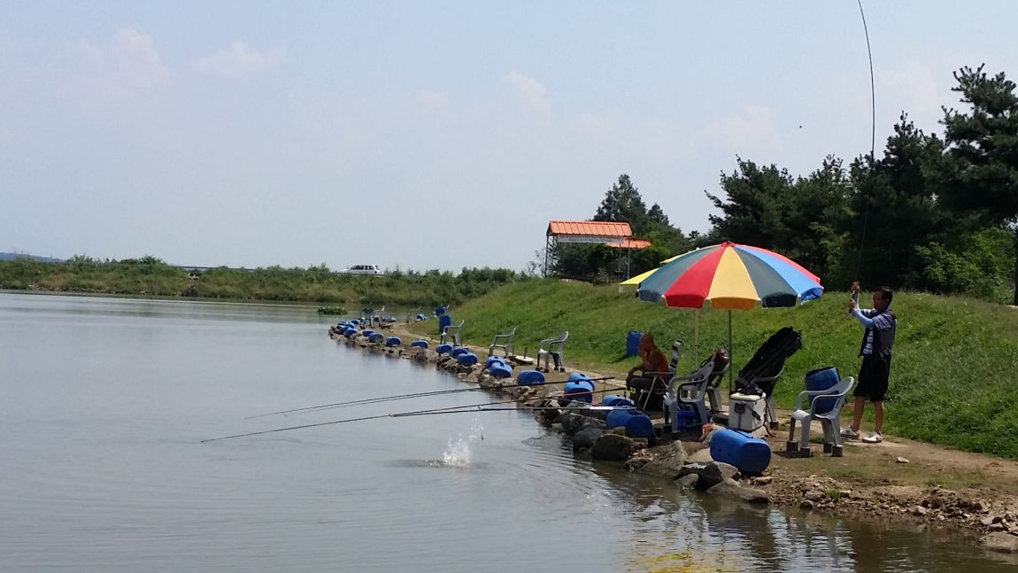 20150829_124642.jpg