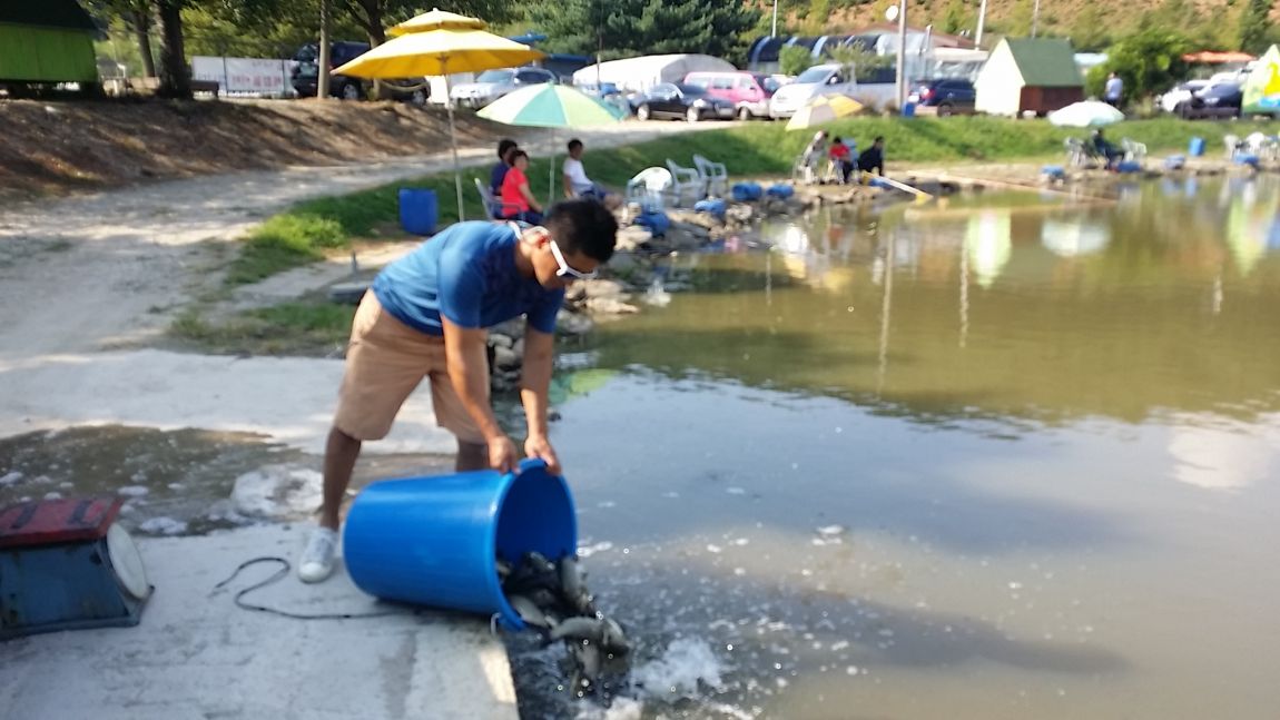 20150829_152924.jpg