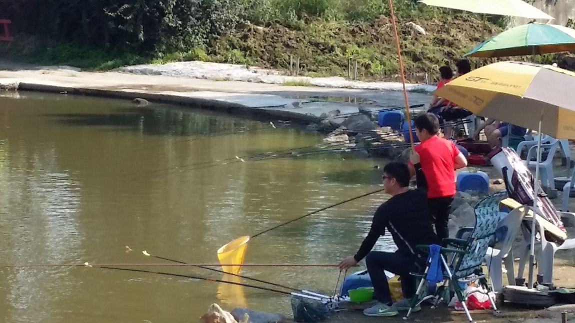 20150829_154552.jpg