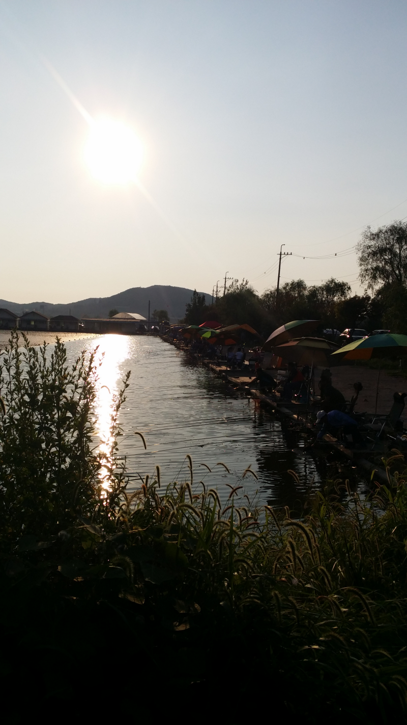 20150829_175229.png