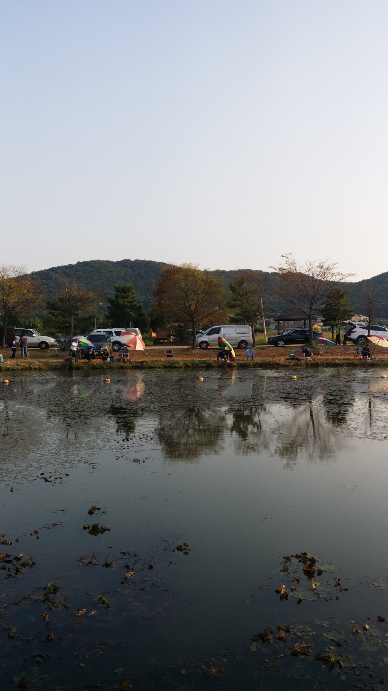20150829_175403.png