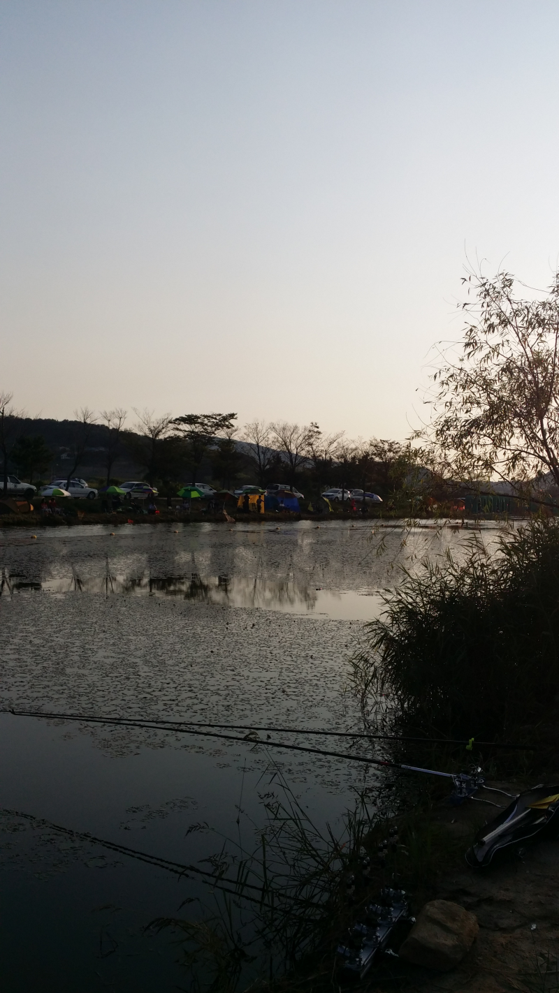 20150829_175408.png