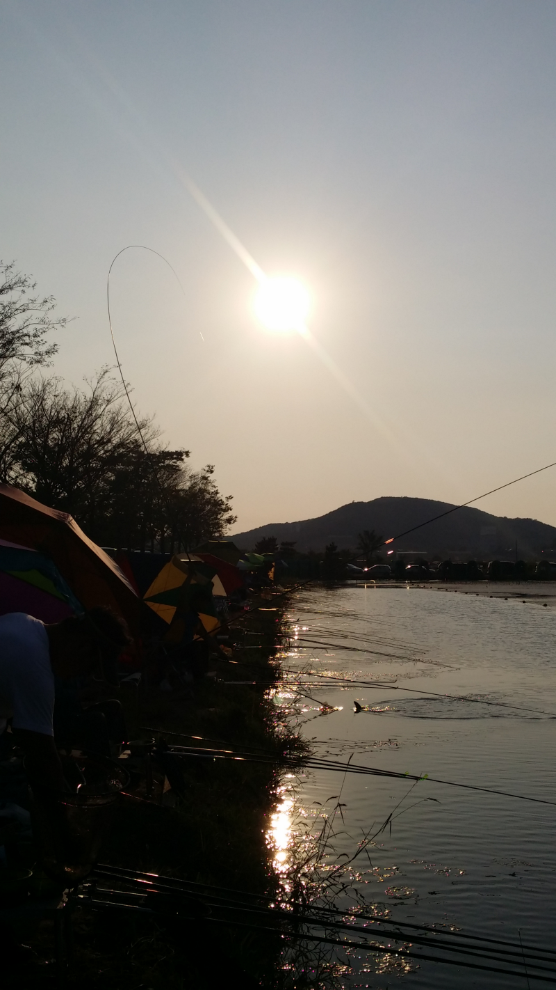 20150829_175702.png