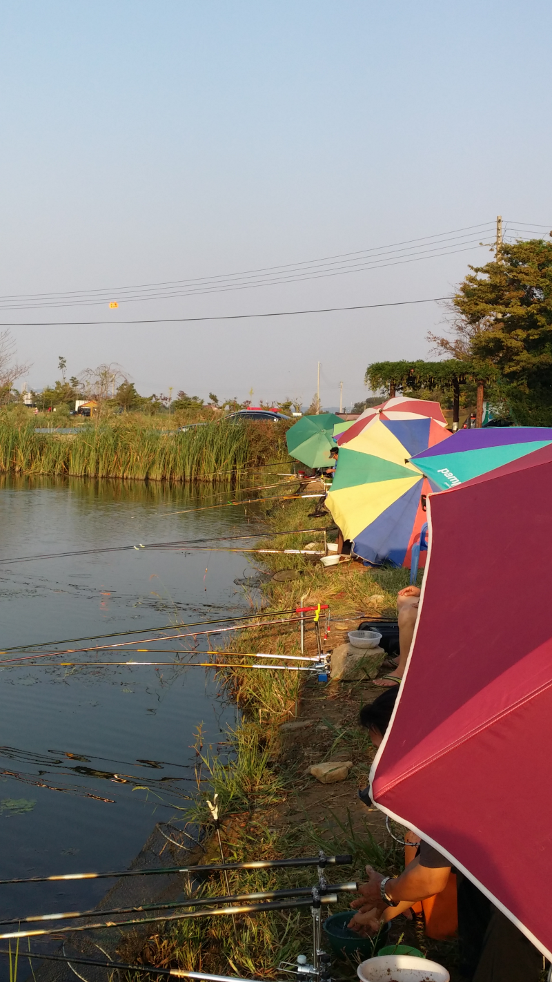 20150829_175731.png