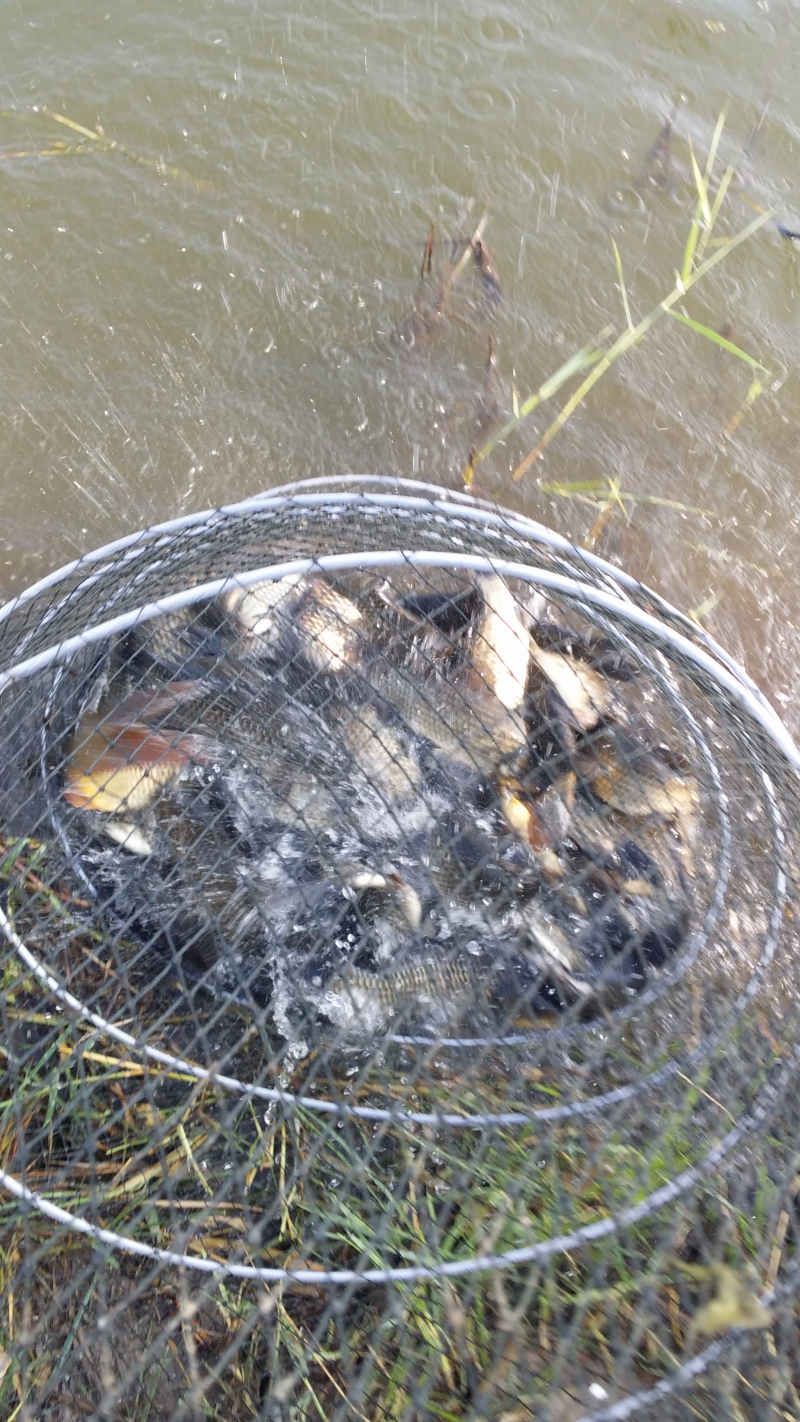 20150830_084629.png