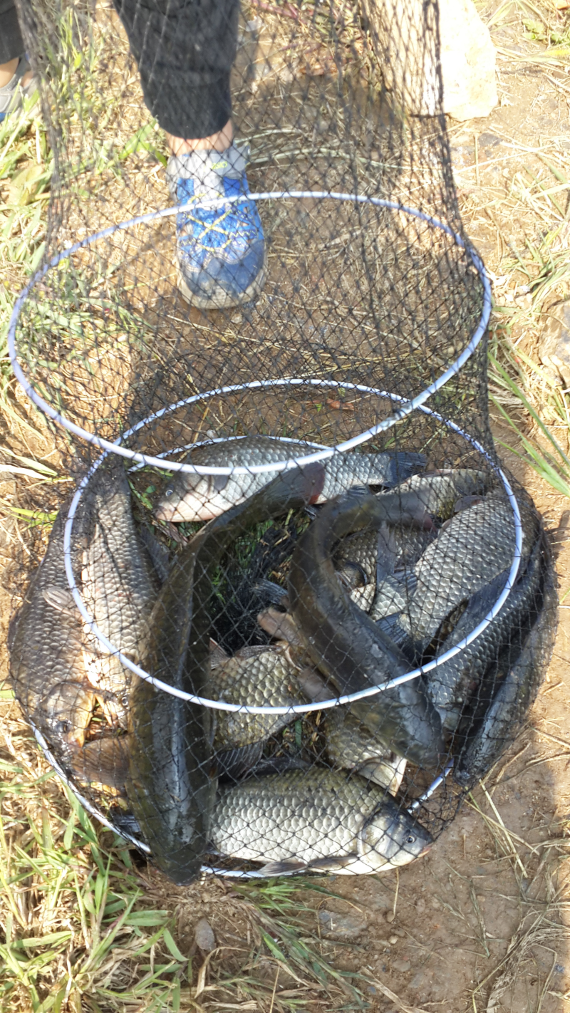 20150830_095936.png