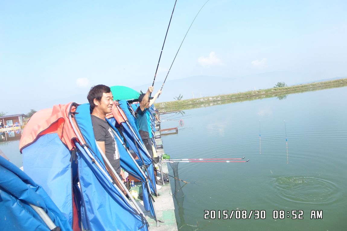 SAM_0449.JPG