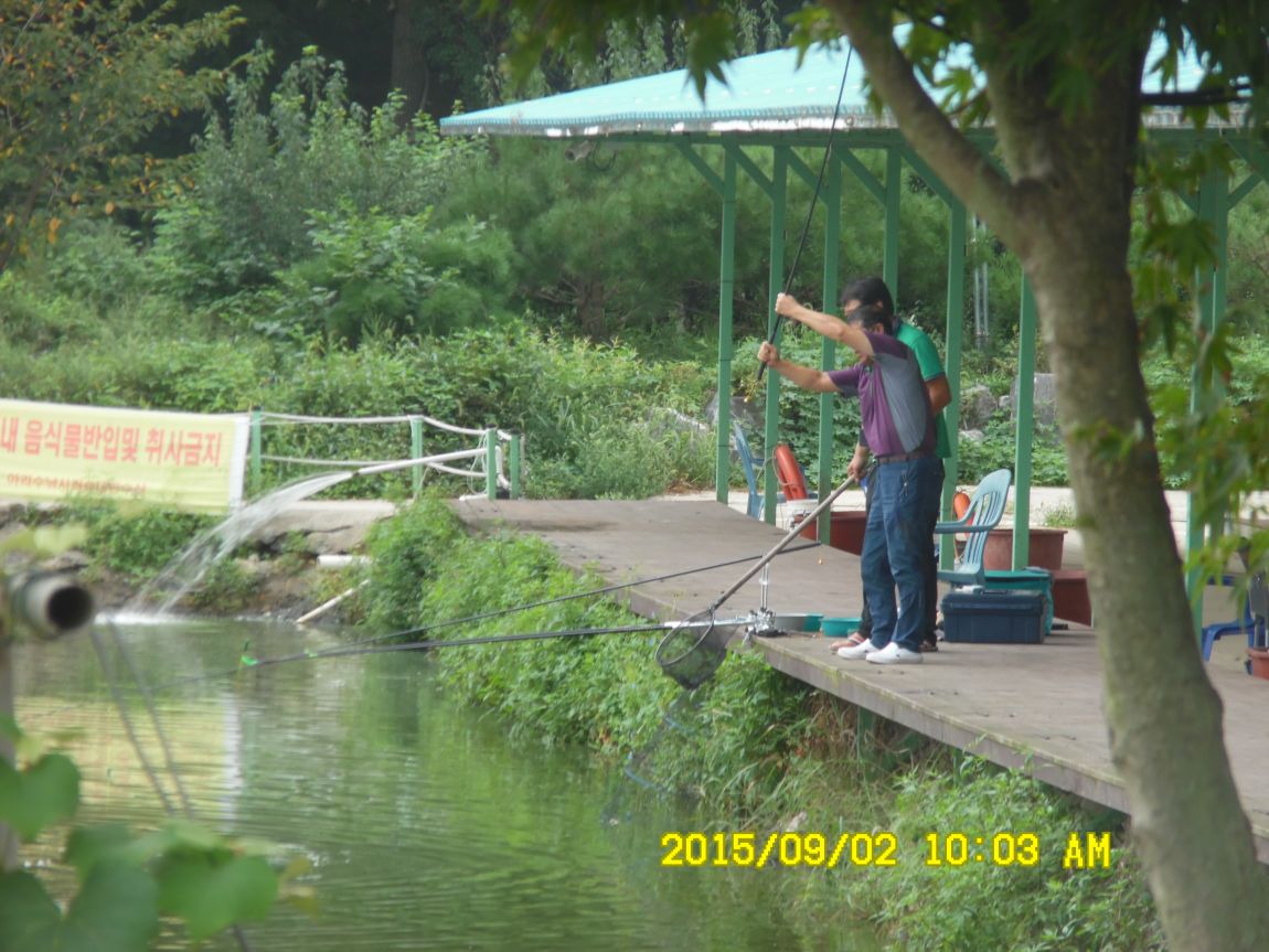 91~2 006.JPG