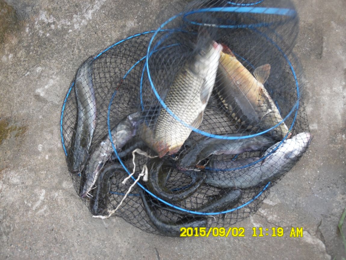 91~2 007.JPG