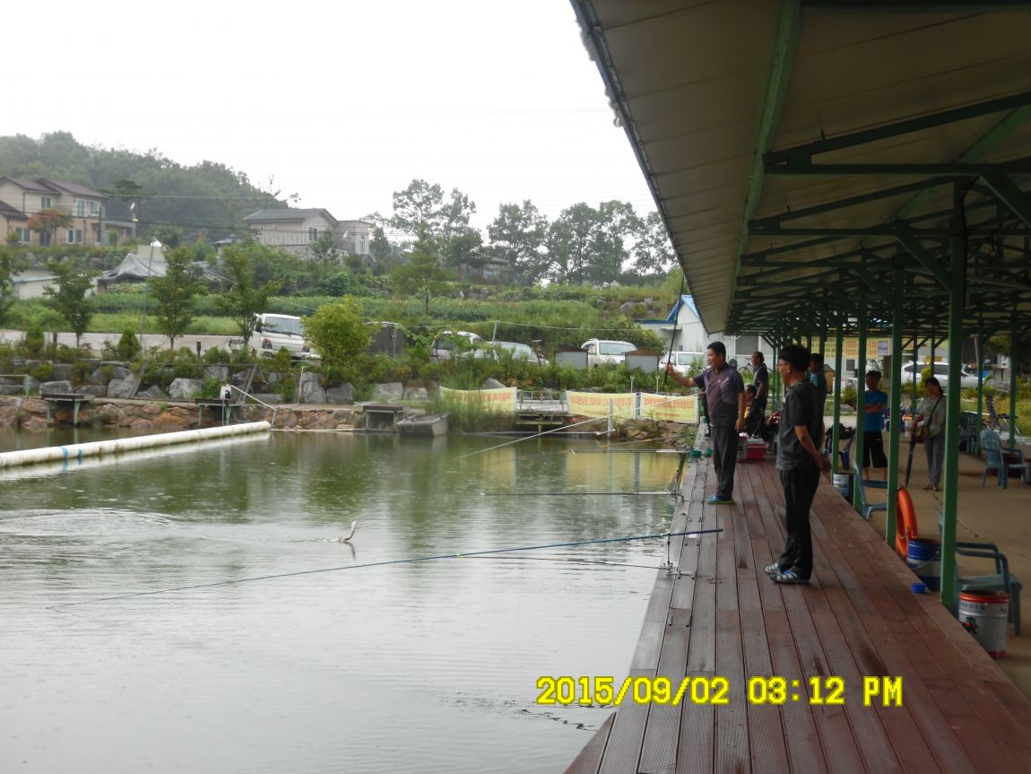 91~2 011.JPG
