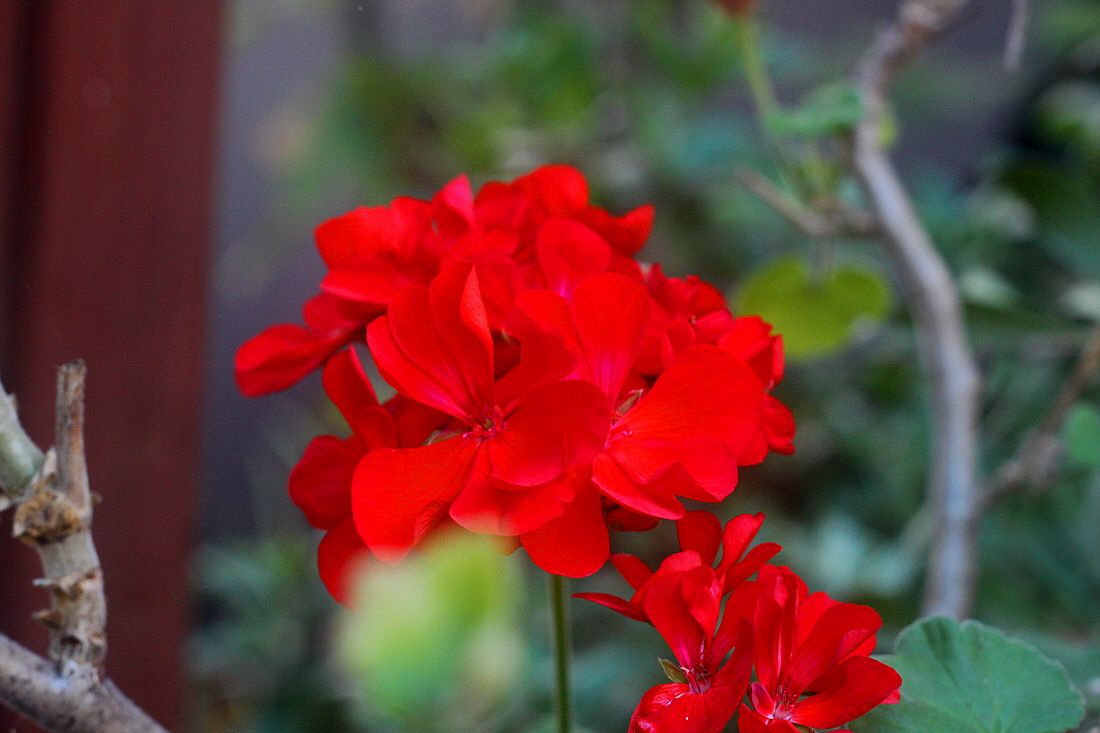 �ٹ̱�_15��8��22�� 047.jpg