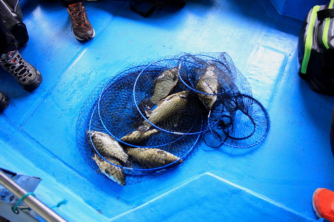 �ٹ̱�_15��8��22�� 068.jpg