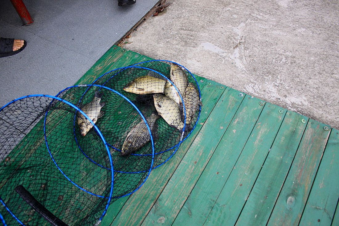 �ٹ̱�_15��8��22�� 070.jpg