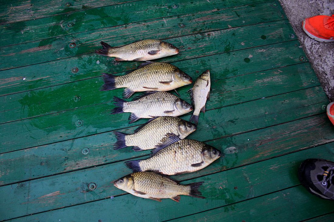 �ٹ̱�_15��8��22�� 076.jpg