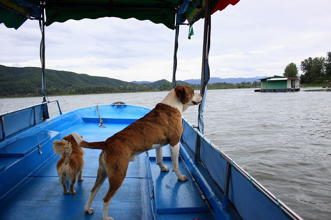 �ٹ̱�_15��8��22�� 085.jpg