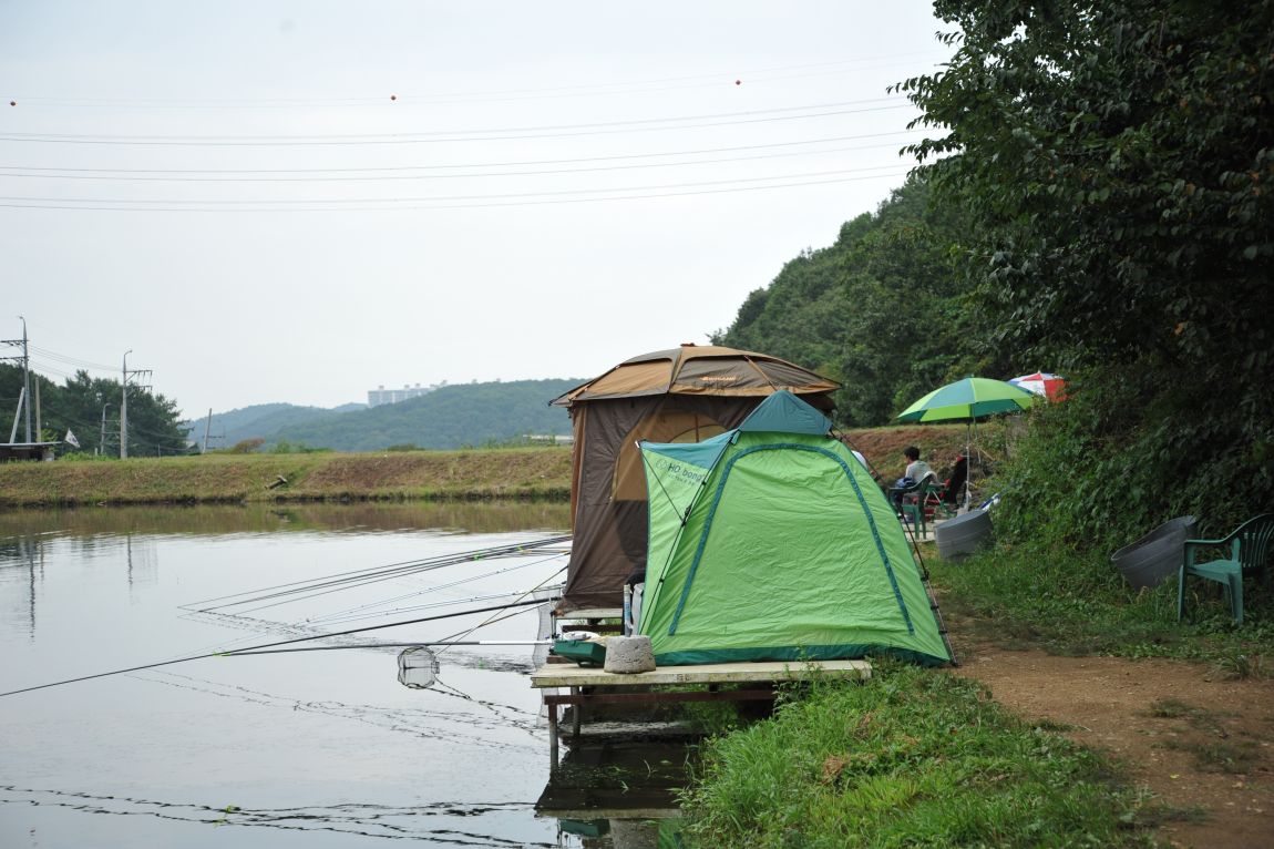 DSC_4957.JPG
