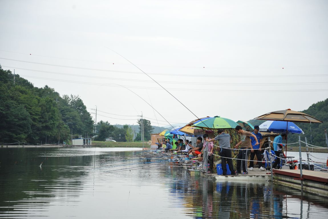 DSC_4972.JPG