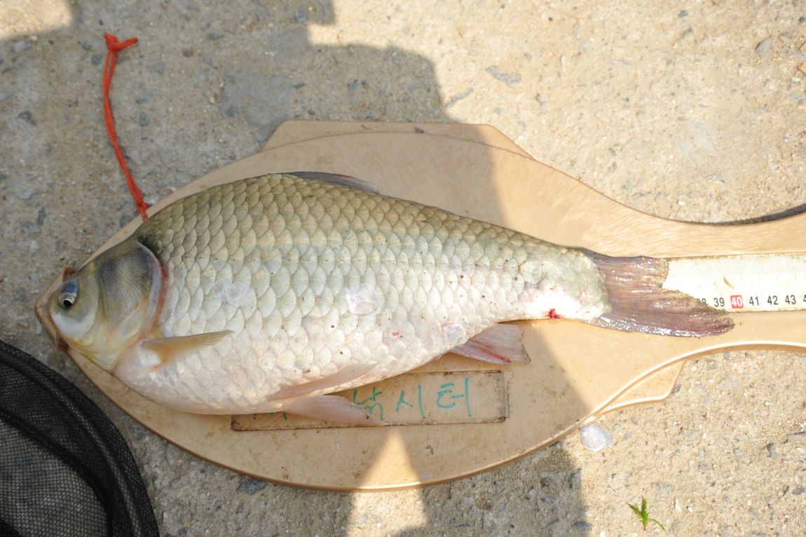 DSC_4696.JPG