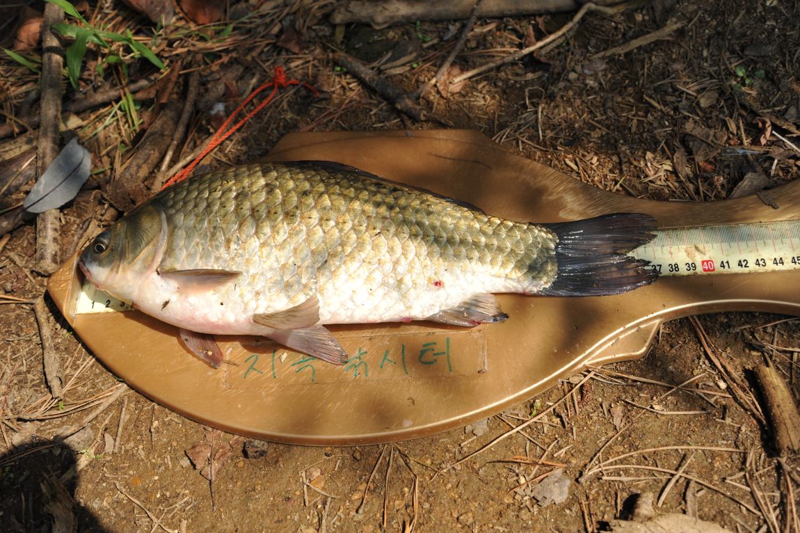 DSC_4741.JPG