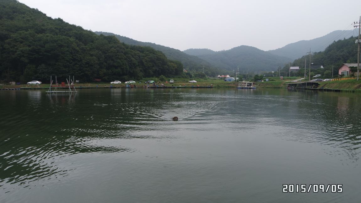SAM_0326.JPG