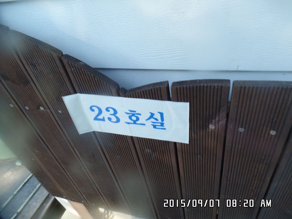 SAM_8917.JPG