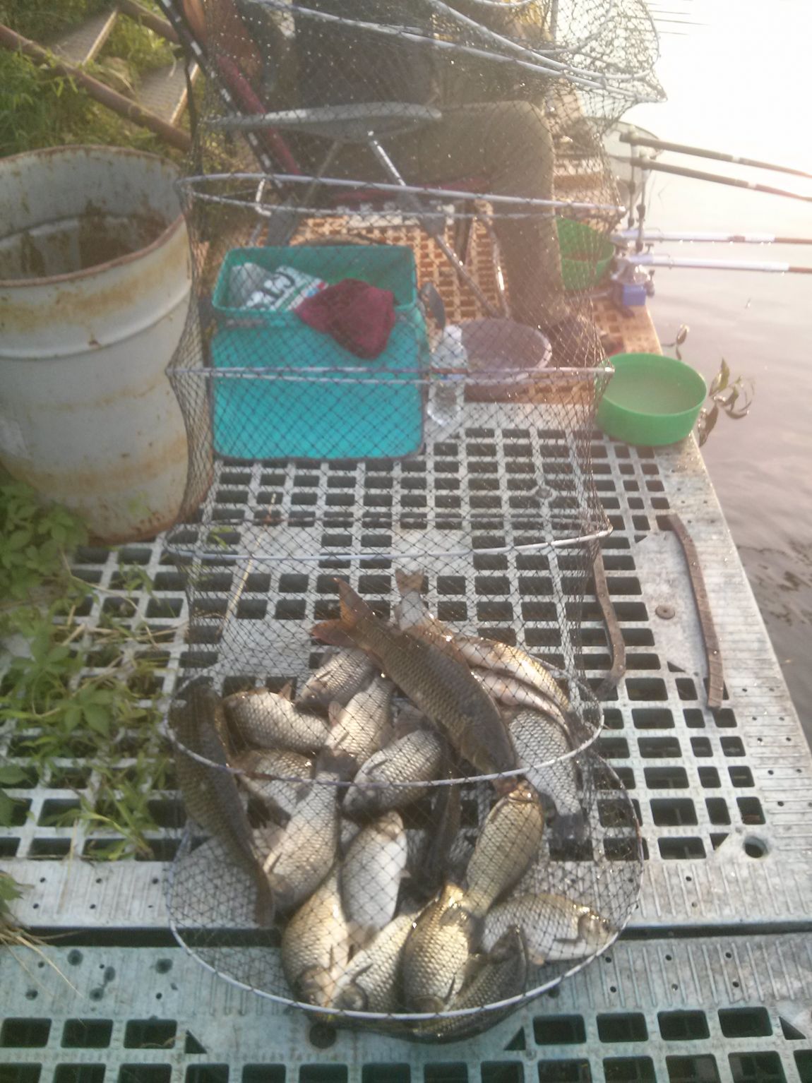 CAM07260.jpg